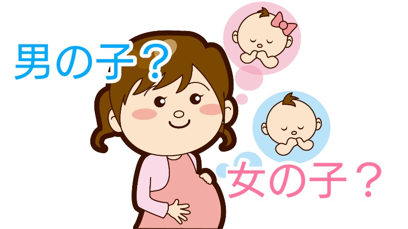 男の子 女の子 赤ちゃんの性別ジンクス 当たったもの 当たらなかったもの ママグラフィティ