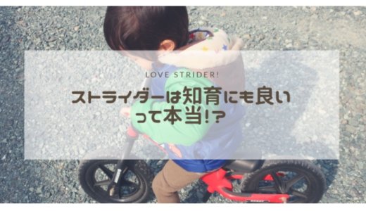 ストライダー購入レビュー。自転車に移行しやすいって本当？メリットとデメリット